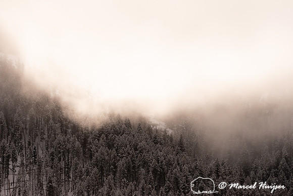 Sun and cold morning fog, Wyoming