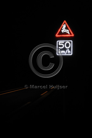 Animal detection system at night, Harderwijk, The Netherlands