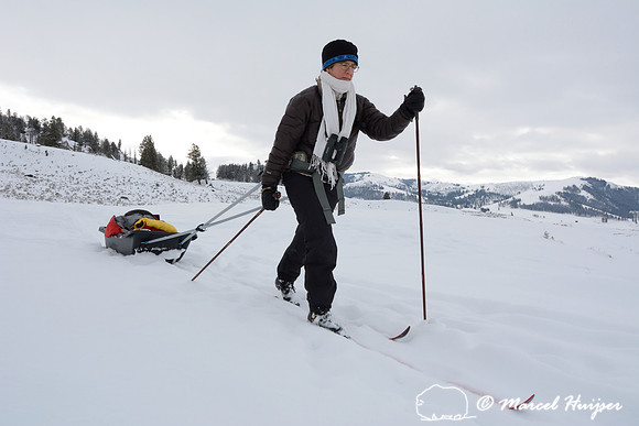 Bethanie Walder pulls cargo sled on cross country skis, Wyoming, USA