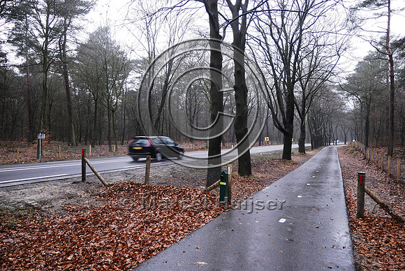 Animal detection system, The Netherlands