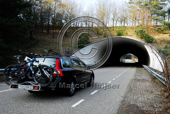 Ecoduct Woeste Hoeve A50 near Apeldoorn, The Netherlands
