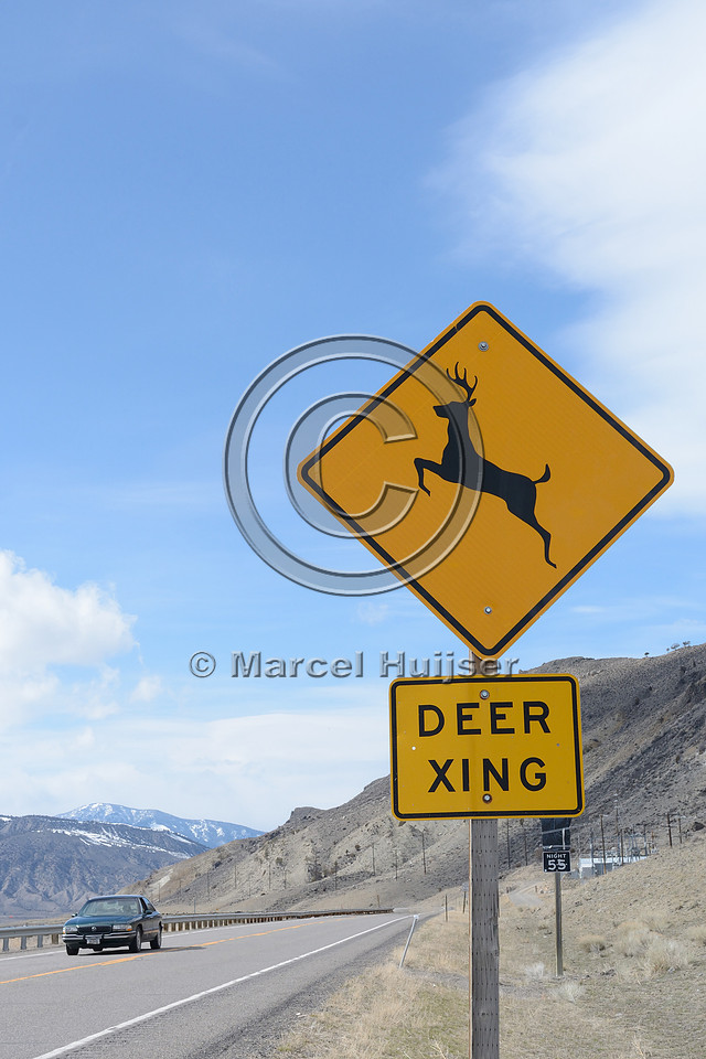 Deer crossing warning sign, xing, US Hwy 89, near Gardiner, Montana, USA