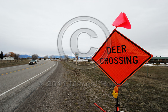Temporary wildlife warning sign, Deer crossing, ID
