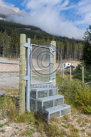 Pedestrian gate (for deep snow levels) at electrified barrier to