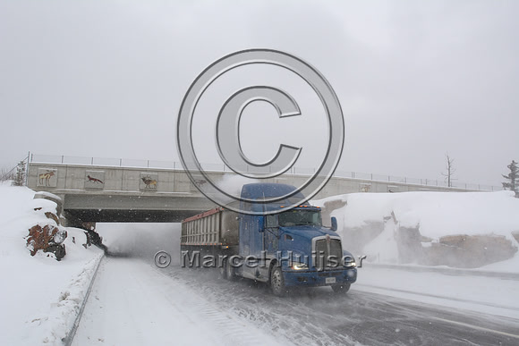 Wildlife overpass (about 30 m wide), Hwy 69, Ontario, Canada