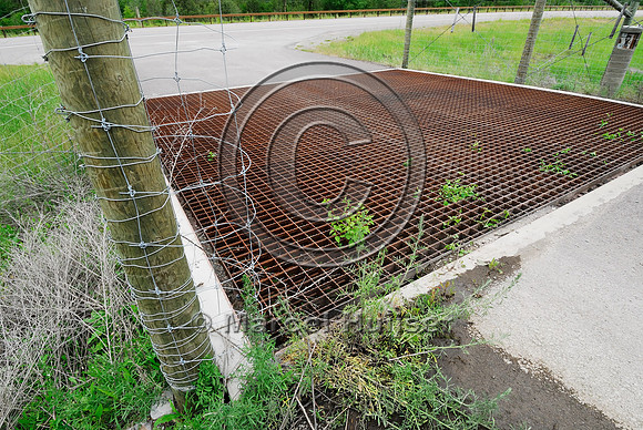 Fence bulbouts  at a wildlife guard installed to make it more difficult for deer (Odocoileus spp.) to walk across the concrete ledge and access the highway, near Ravalli, Montana, USA