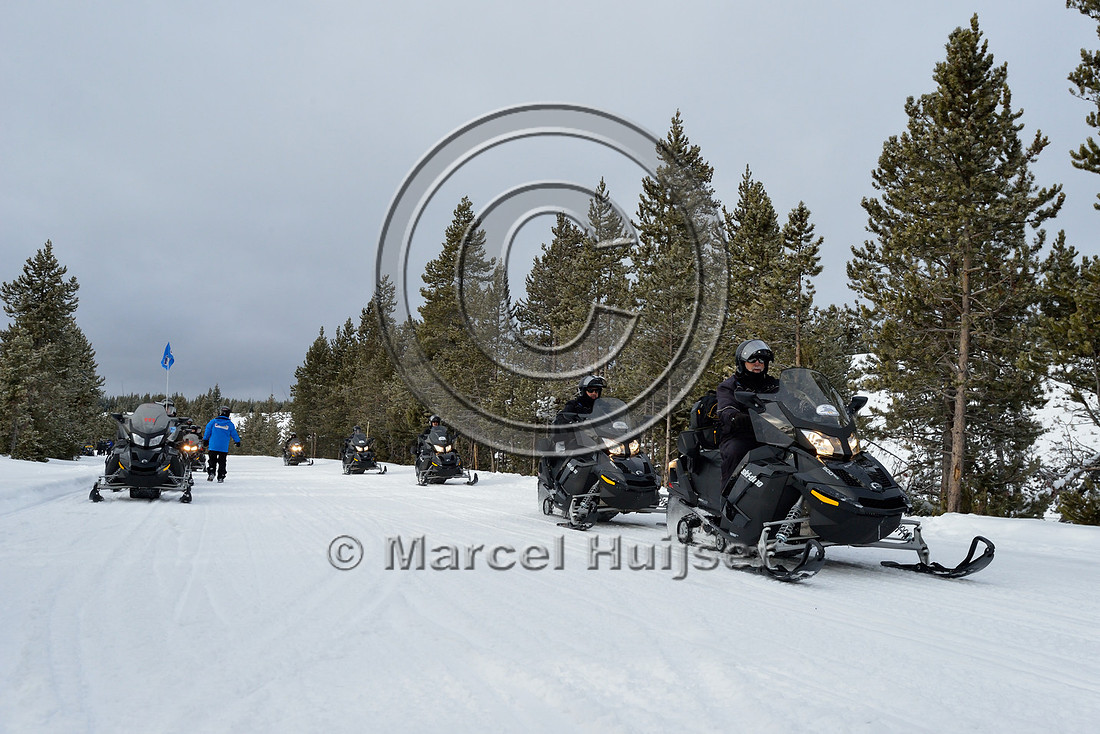 Line of snowmobiles, near West Yellowstone, Yellowstone National Park, Wyoming, USA