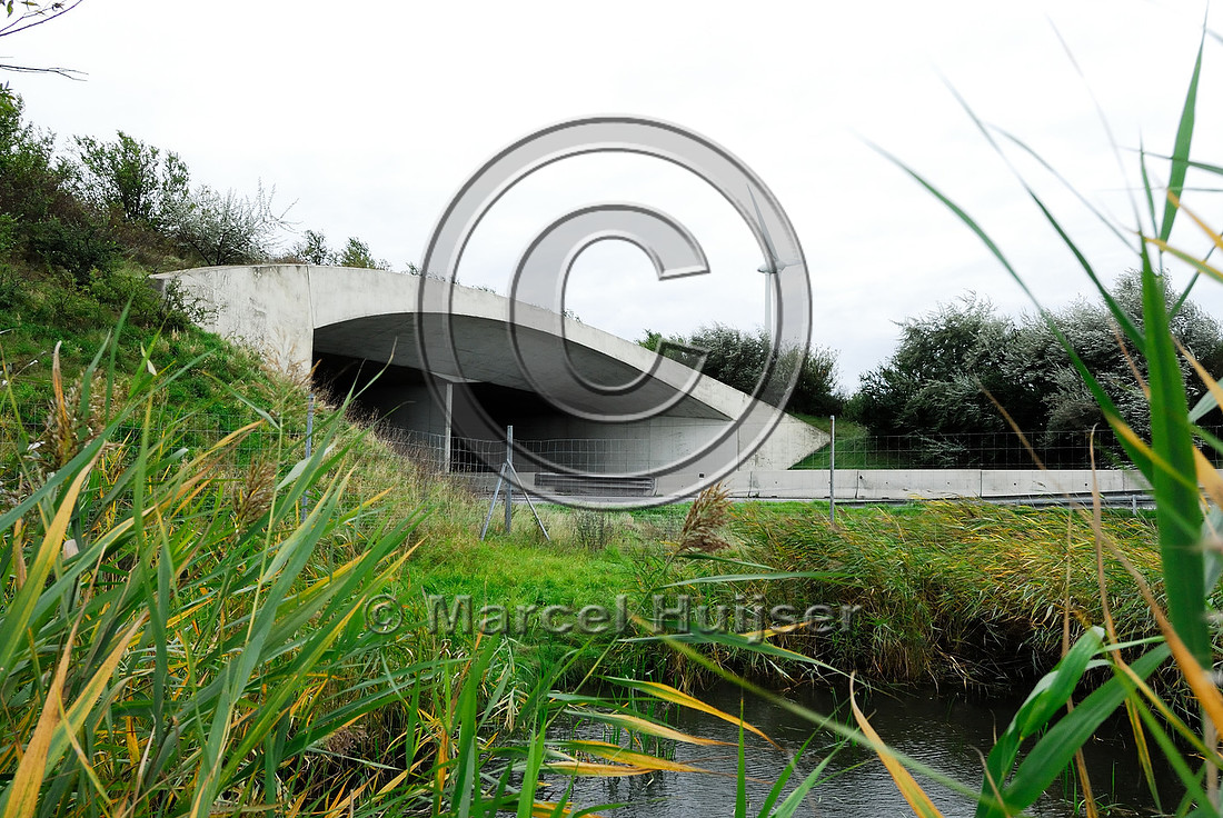 multifunctional overpass (wildlife, bicyclists, pedestrians; about 100 m wide), across A4 motorway, Parndorf, Austria