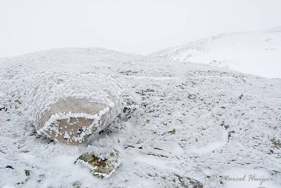 Ice fog on rocks, Dovrefjell National Park, Norway