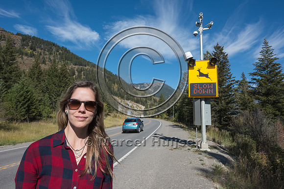 Fernanda Abra at animal detection system, east of Elko, British