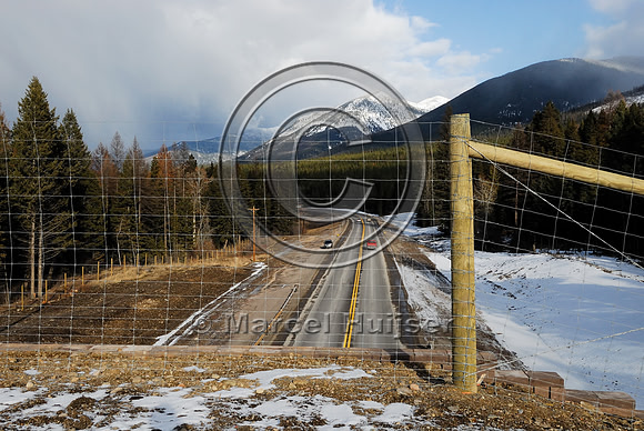 View from the top of the wildlife overpass "animals' bridge" just after construction was completed, US Hwy 93, Flathead Indian Reservation, near Evaro, Montana, USA