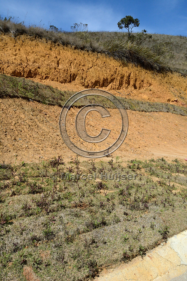 Partial slope stabilization with sod along gravel road, near Parque Nacional da Serra da Bocaina, São Paulo, Brazil