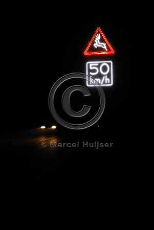 Animal detection system at night, Harderwijk, The Netherlands