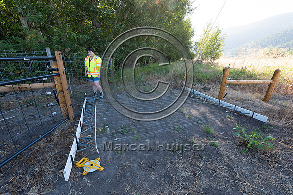 Installing electric fence and gates at a melon field to keep bla