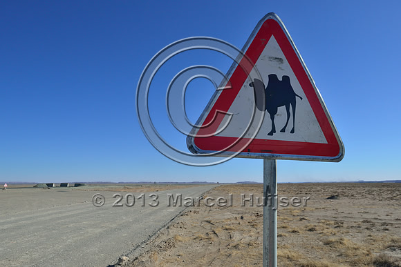 Warning sign for domesticated Bactrian camels (Camelus bactrianus), Gobi, Mongolia