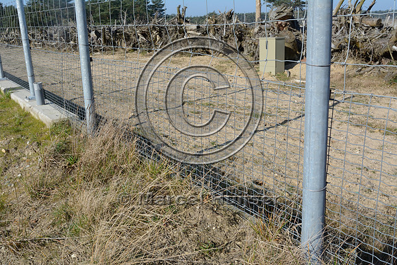 Snug fit wildlife fence and plank on top of wildlife overpass Oud Reemst (about 35 m wide), south of Otterlo, The Netherlands