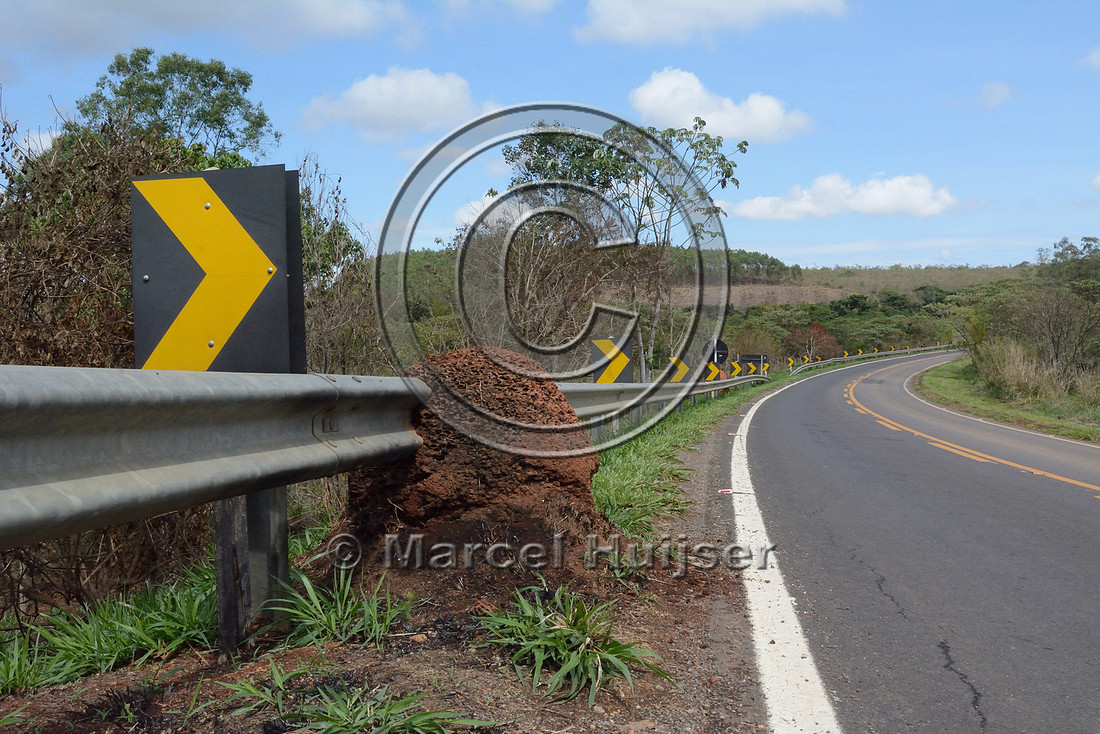 Termite mound built around guard rail, MG-341 near São Roque de Minas, Minas Gerais, Brazil