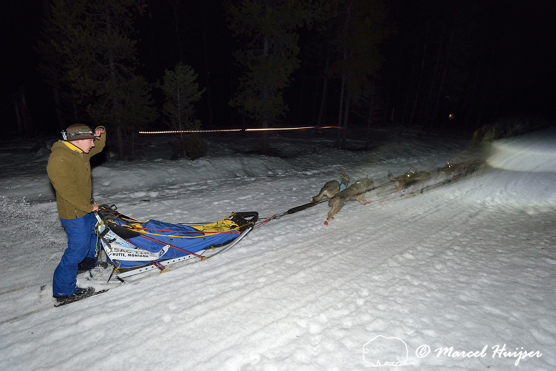 Race to the Sky, sled dog race, February 13-15 2015, Seeley Lake, Montana, USA