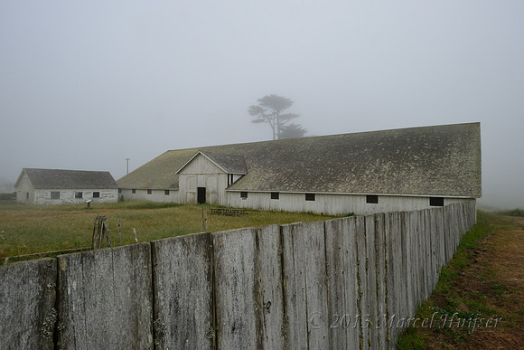 Pierce Point Ranch, Point Reyes National Seashore, California, USA
