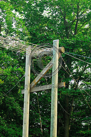 Dormouse rope bridge, United Kingdom