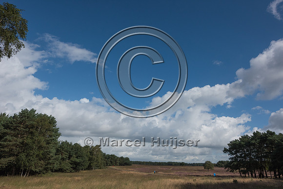 Dry grassland,  heathland and forest habitat adjacent to the eco