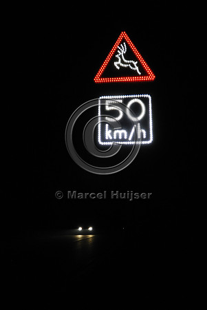 Animal detection system at night, Harderwijk, The Netherlands