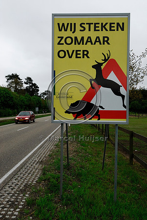 Wildlife warning sign, N310 Arnhemseweg, south of Otterlo, The Netherlands