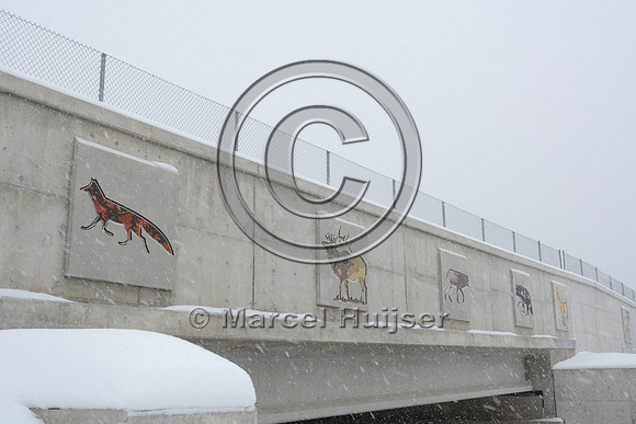 Art (drawings of animals) on wildlife overpass (about 30 m wide), Hwy 69, Ontario, Canada