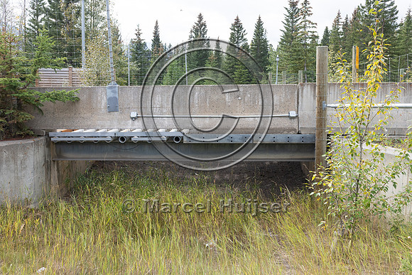 Electrified barrier to keep bears off the highway, exit Compound