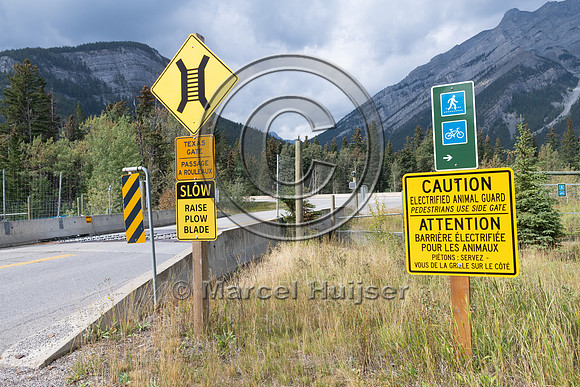 Electrified barrier to keep bears off the highway, exit Compound