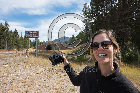 Fernanda Abra at wildlife overpass US Hwy 93 North, Flathead Ind