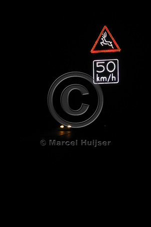 Animal detection system at night, Harderwijk, The Netherlands