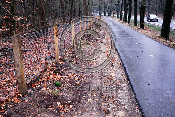 Wildlife fences, N302, Leuvenumseweg, Sonnevanck, east of Harderwijk, The Netherlands