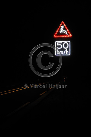 Animal detection system at night, Harderwijk, The Netherlands