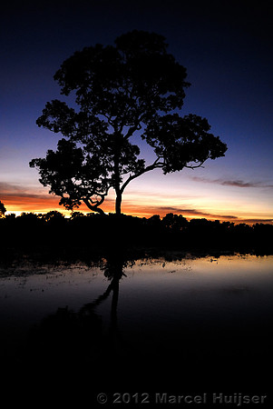 Sunrise along the Rio Claro River, Pantanal, Mato Grosso, Brazil