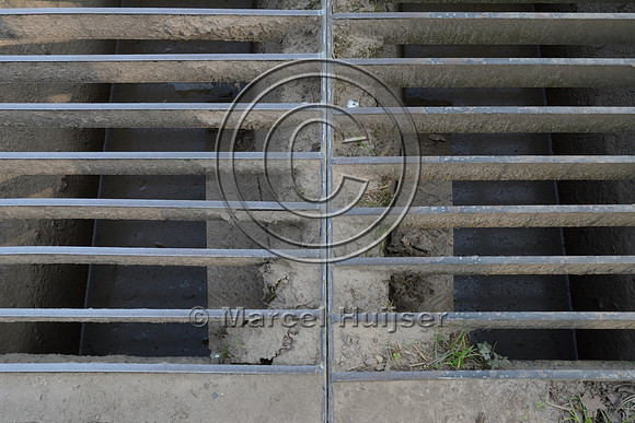 Escape ramp for small mammals, reptiles, amphibians and invertebrates from pit under wildlife guard (cattle guard), near Kootwijk, The Netherlands