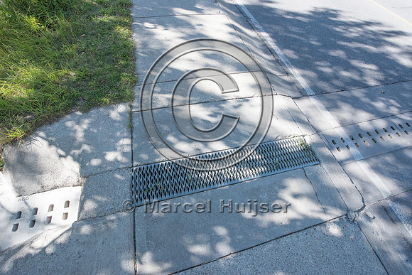 Barrier screens (fences) and culverts for long-toed salamander (