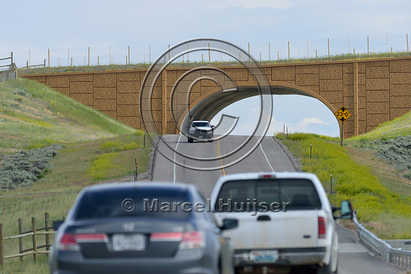 Wildlife overpass (west) for pronghorn (Antilocapra americana) (46 m (150 ft) wide), on the Path of the Pronghorn, Trapper’s Point, US Hwy 191, near Pinedale, Wyoming, USA