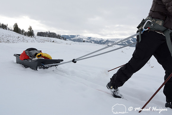 Bethanie Walder pulls cargo sled on cross country skis, Wyoming, USA