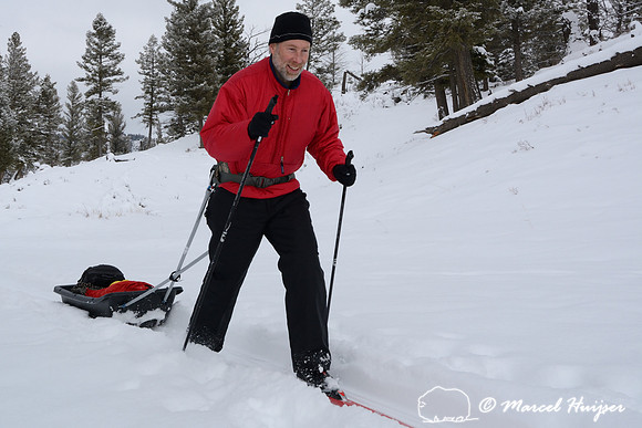 Marcel Huijser pulls cargo sled on cross country skis, Wyoming, USA
