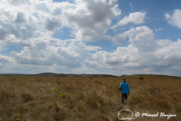We go out for a hike with Marcello (Casastra 4x4), Parque Nacional da Serra da Canastra, Minas Gerais, Brazil