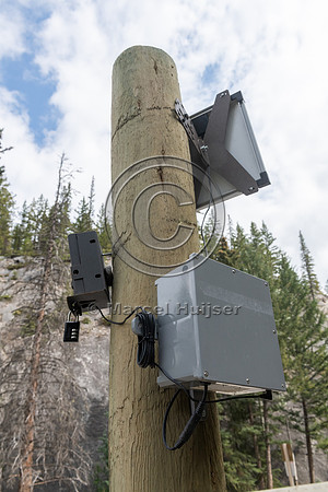 Electrified barrier to keep bears off the highway, exit Sunshine