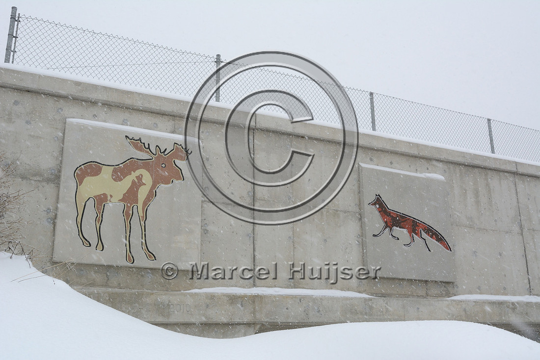 Art (drawings of animals) on wildlife overpass (about 30 m wide), Hwy 69, Ontario, Canada
