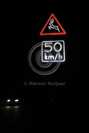 Animal detection system at night, Harderwijk, The Netherlands