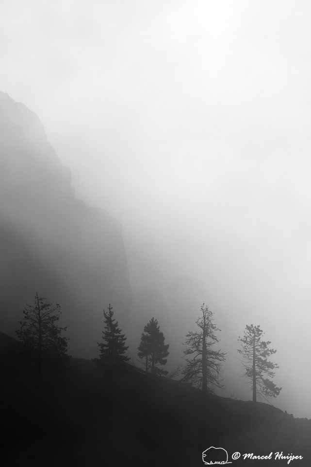 Trees and cliffs in morning fog above Yellowstone River at Tower