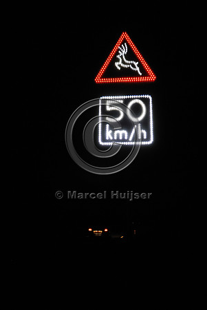 Animal detection system at night, Harderwijk, The Netherlands