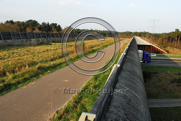 Multifunctional overpass (wildlife and bicycle pedestrian path) Slabroek, about 15 m wide, across A50 motorway, north of Uden, The Netherlands