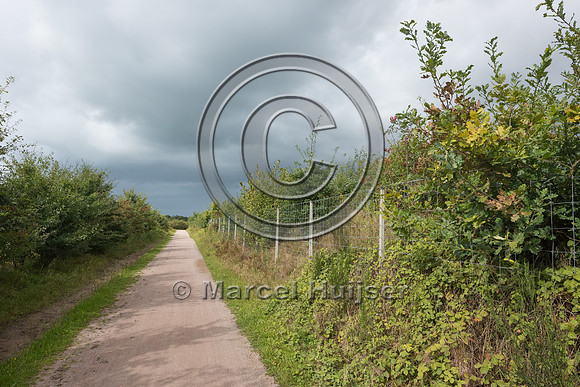 Trail for non-motorized recreation with a berm, trees and shrubs
