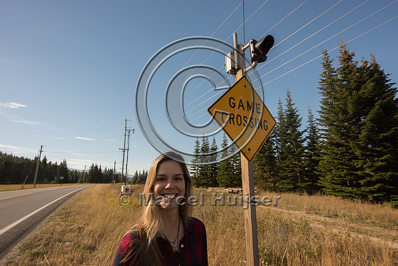 Fernanda Abra at animal detection system, north of Bonners Ferry