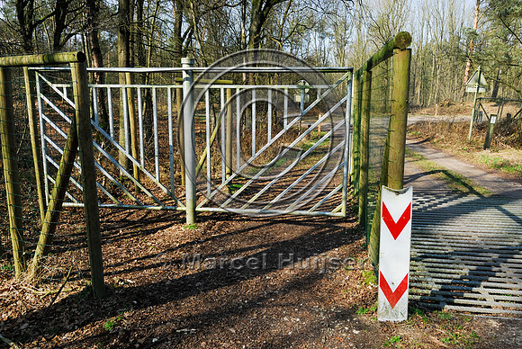 Wildlife guard and horse gate, Heugterdijk, Weerterbos, near Maarheze, The Netherlands